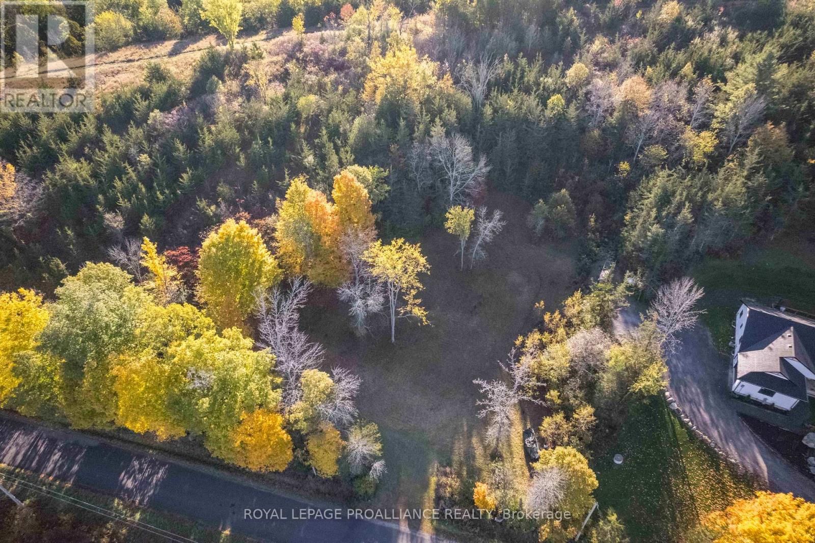 863 GUNTER SETTLEMENT ROAD Image 6