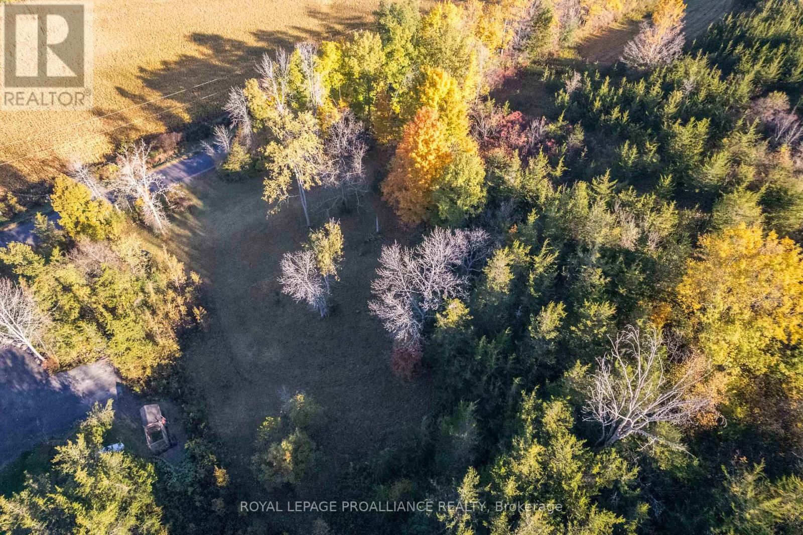 863 GUNTER SETTLEMENT ROAD Image 9