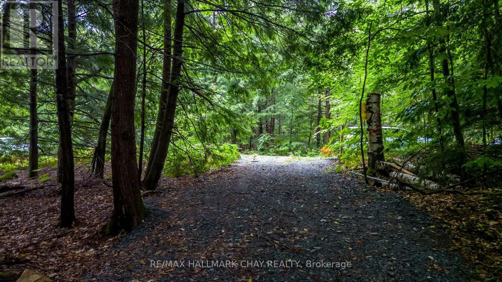 35 LITTLE LONG LAKE ROAD Image 9