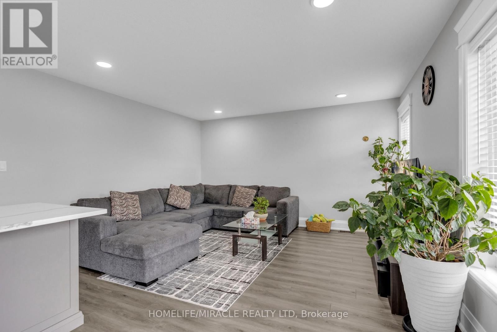 172 MILLER STREET Image 21