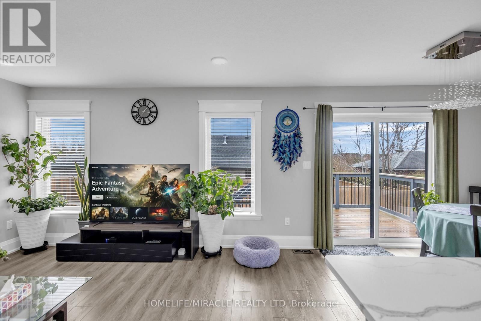 172 MILLER STREET Image 24