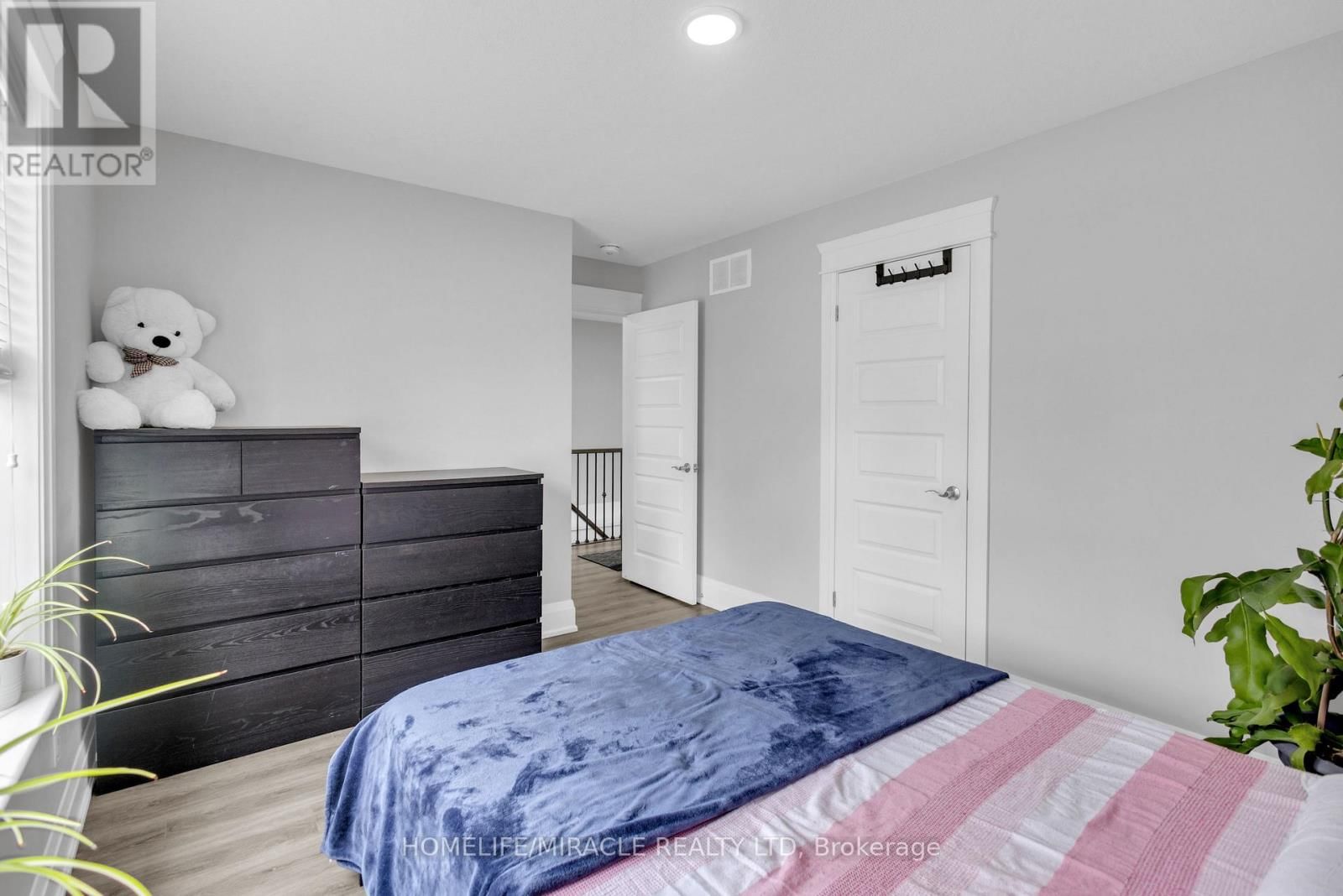 172 MILLER STREET Image 8