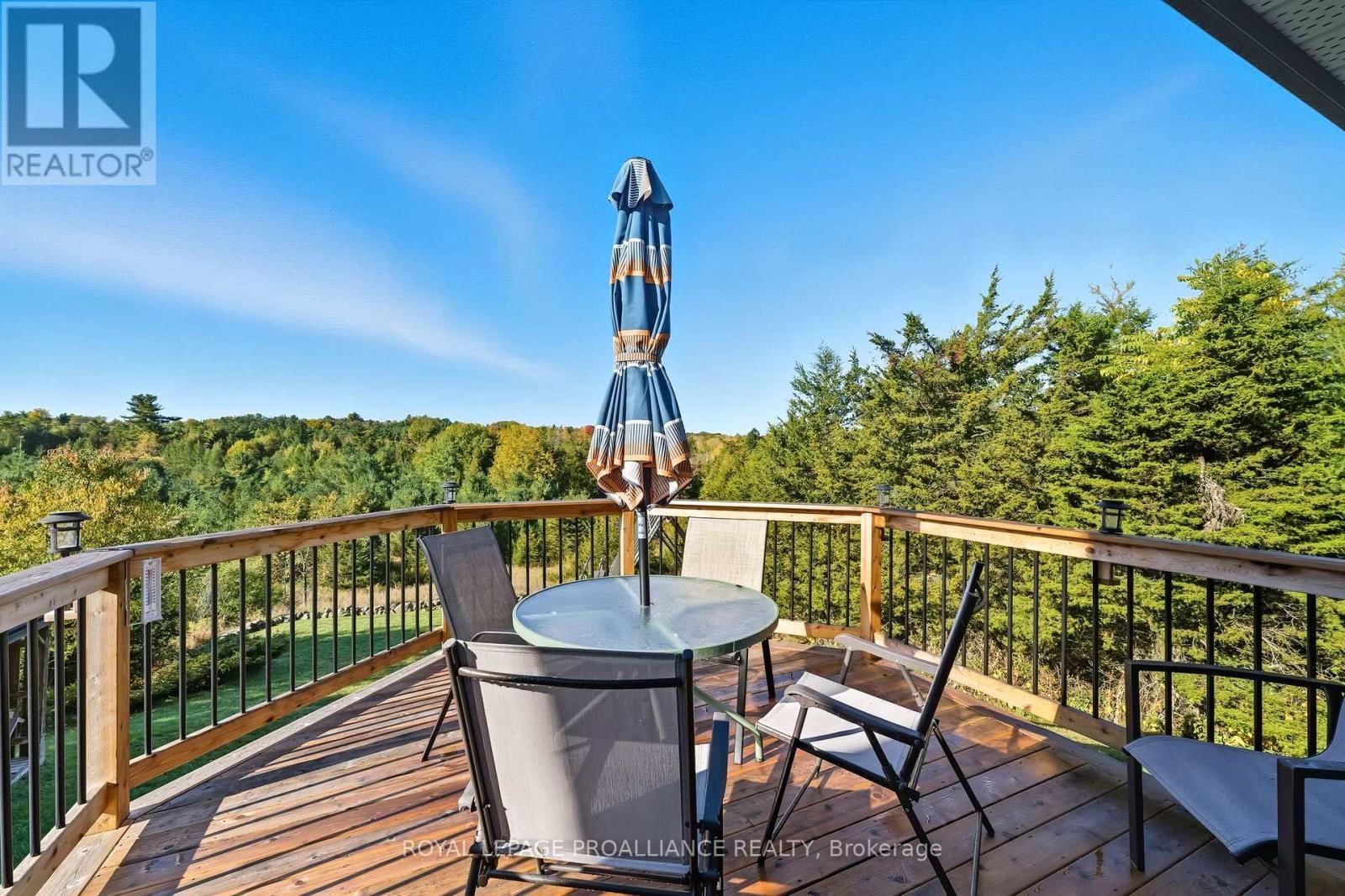 151 CARMAN ROAD Image 31