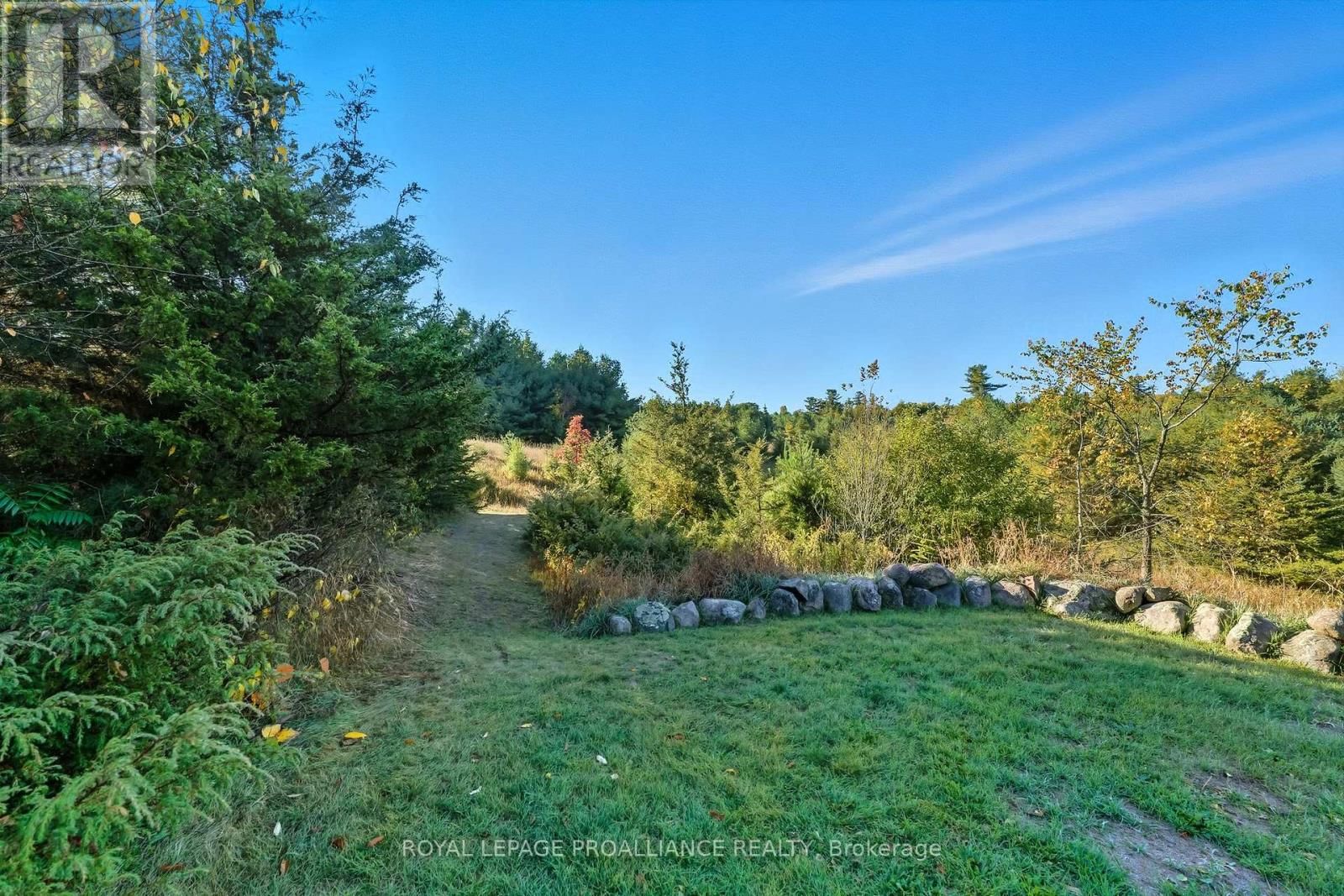 151 CARMAN ROAD Image 36