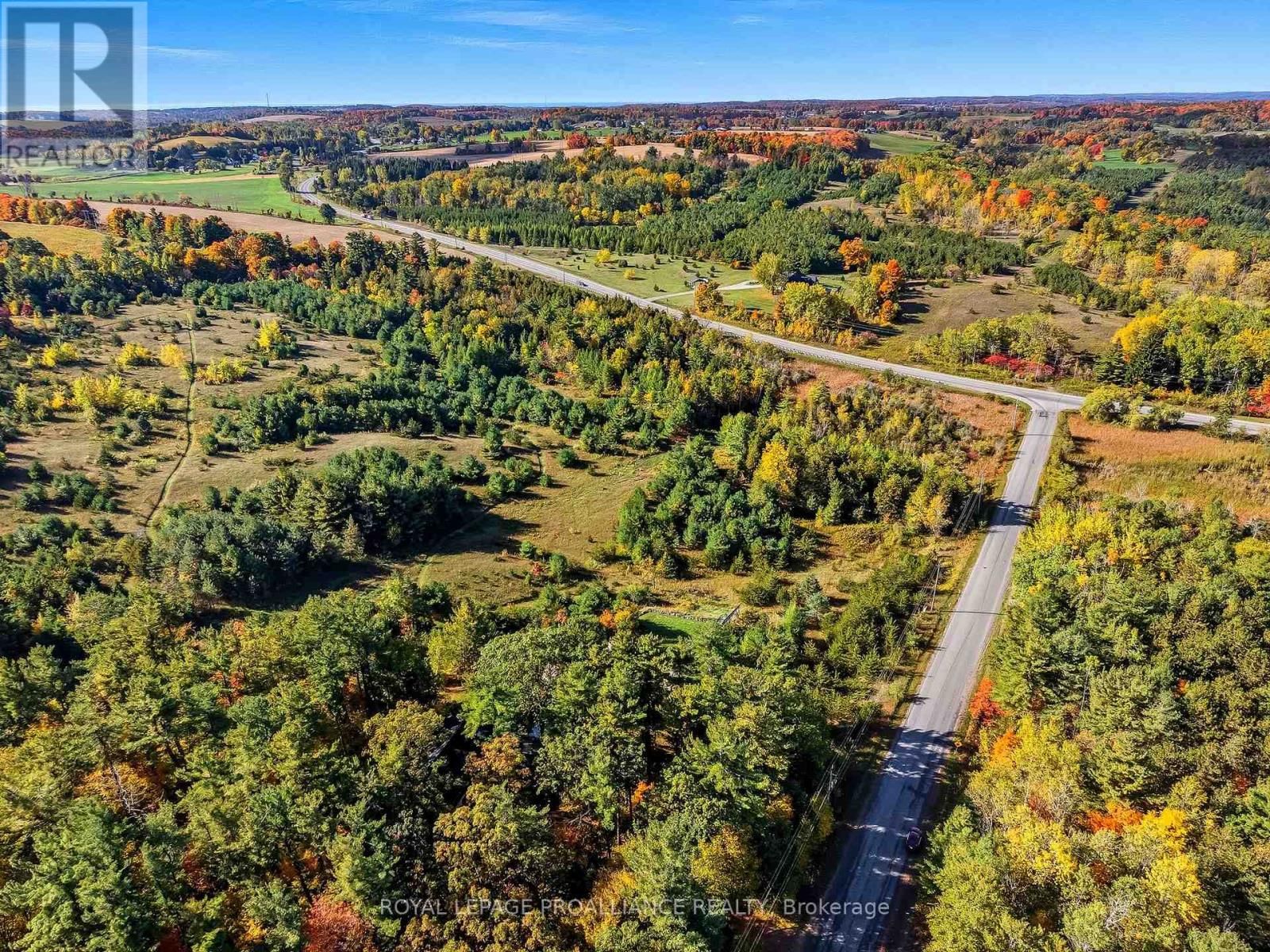 151 CARMAN ROAD Image 49