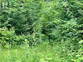 LOT 5 GEORGES ROAD Image 2