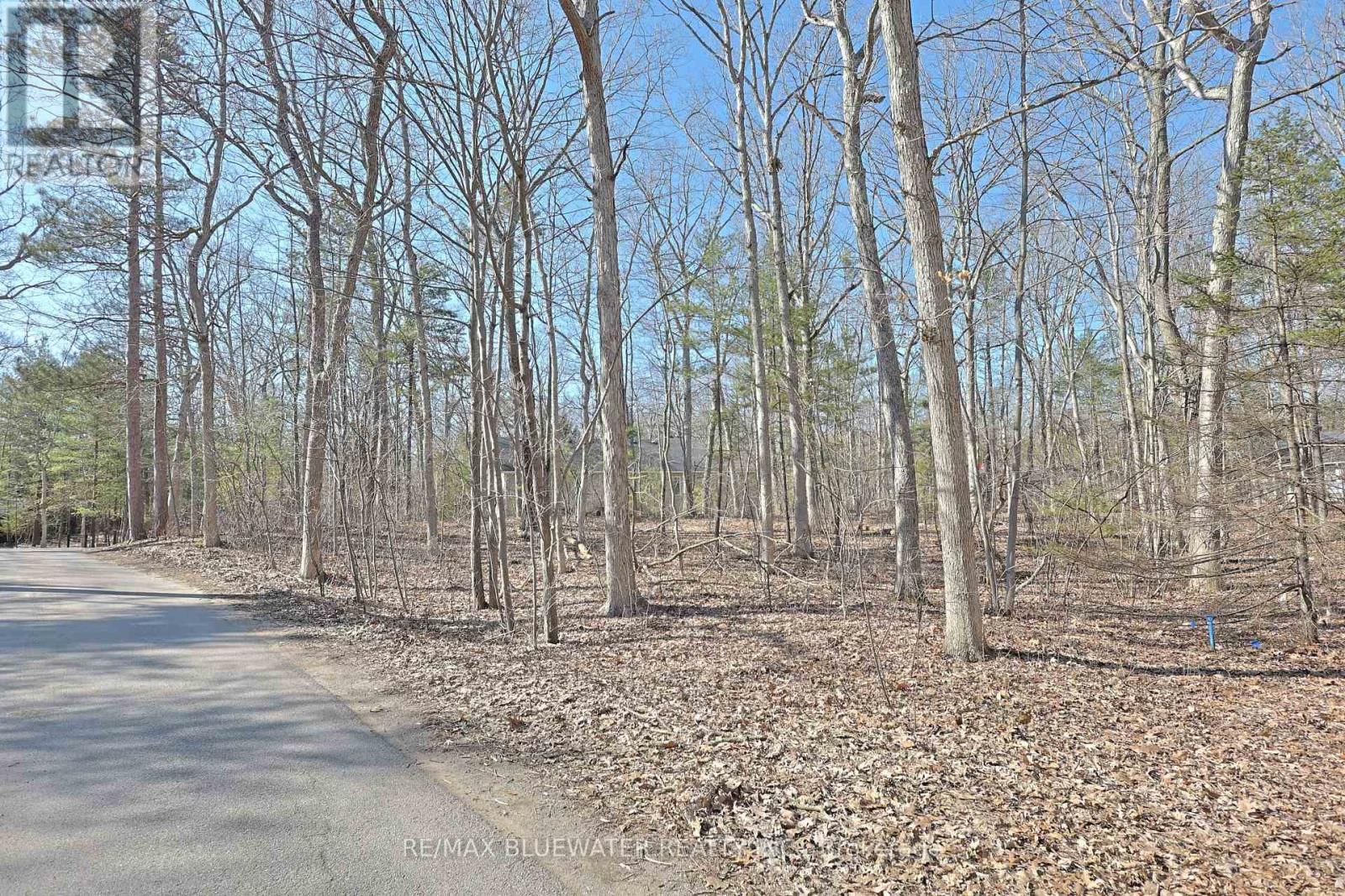 10296 GRAND OAKS DRIVE Image 1