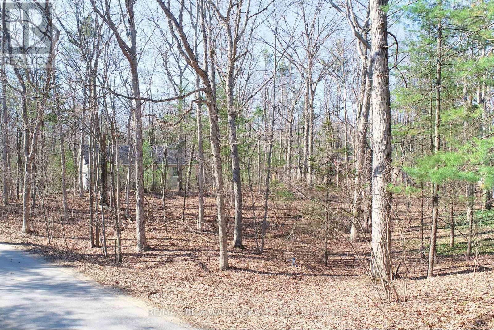 10296 GRAND OAKS DRIVE Image 10