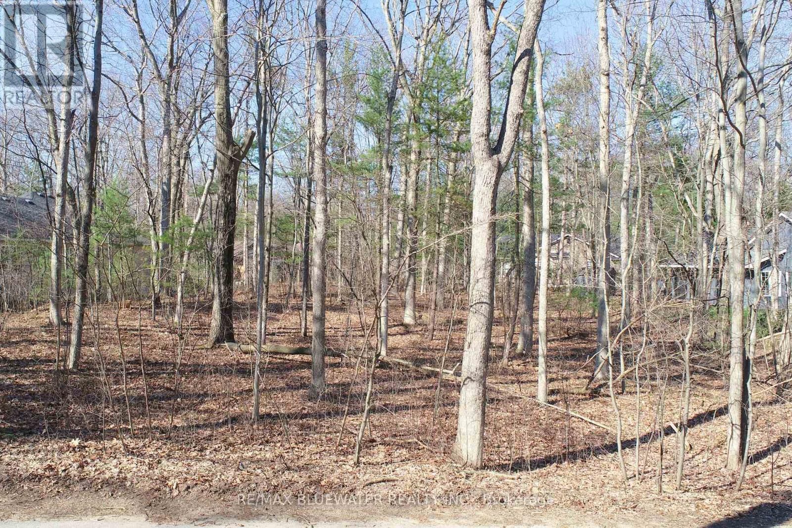 10296 GRAND OAKS DRIVE Image 11