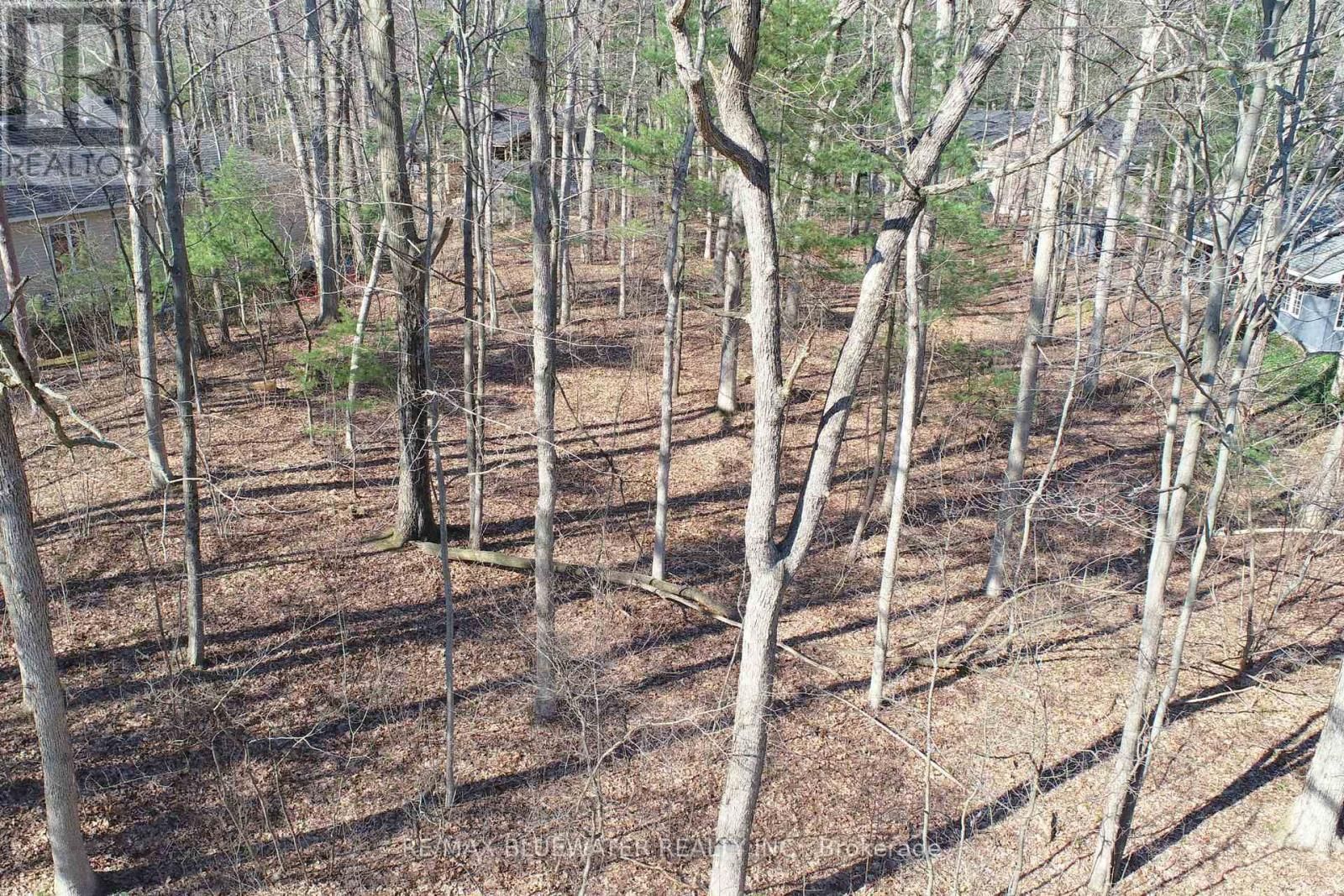 10296 GRAND OAKS DRIVE Image 12