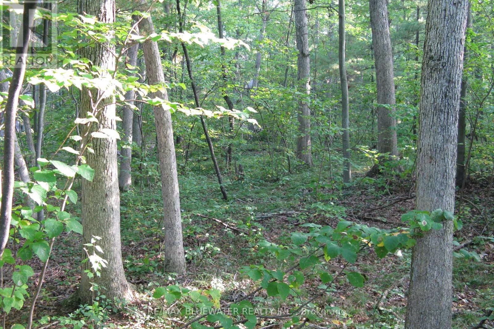 10296 GRAND OAKS DRIVE Image 13