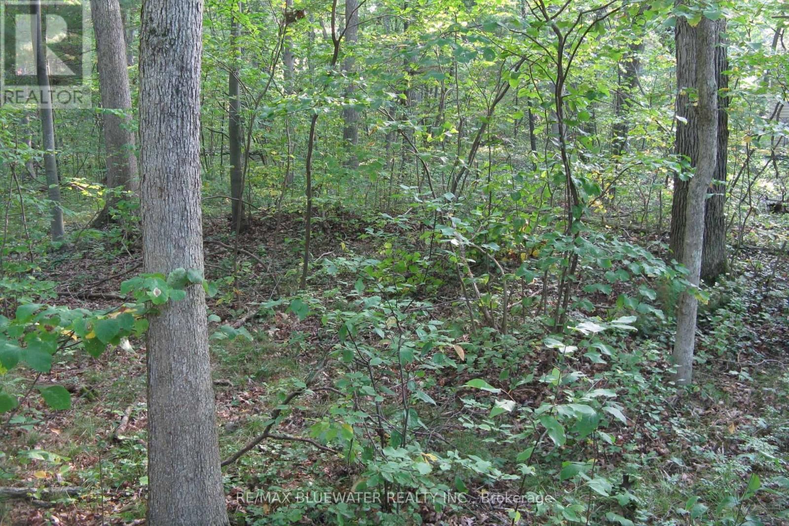 10296 GRAND OAKS DRIVE Image 14