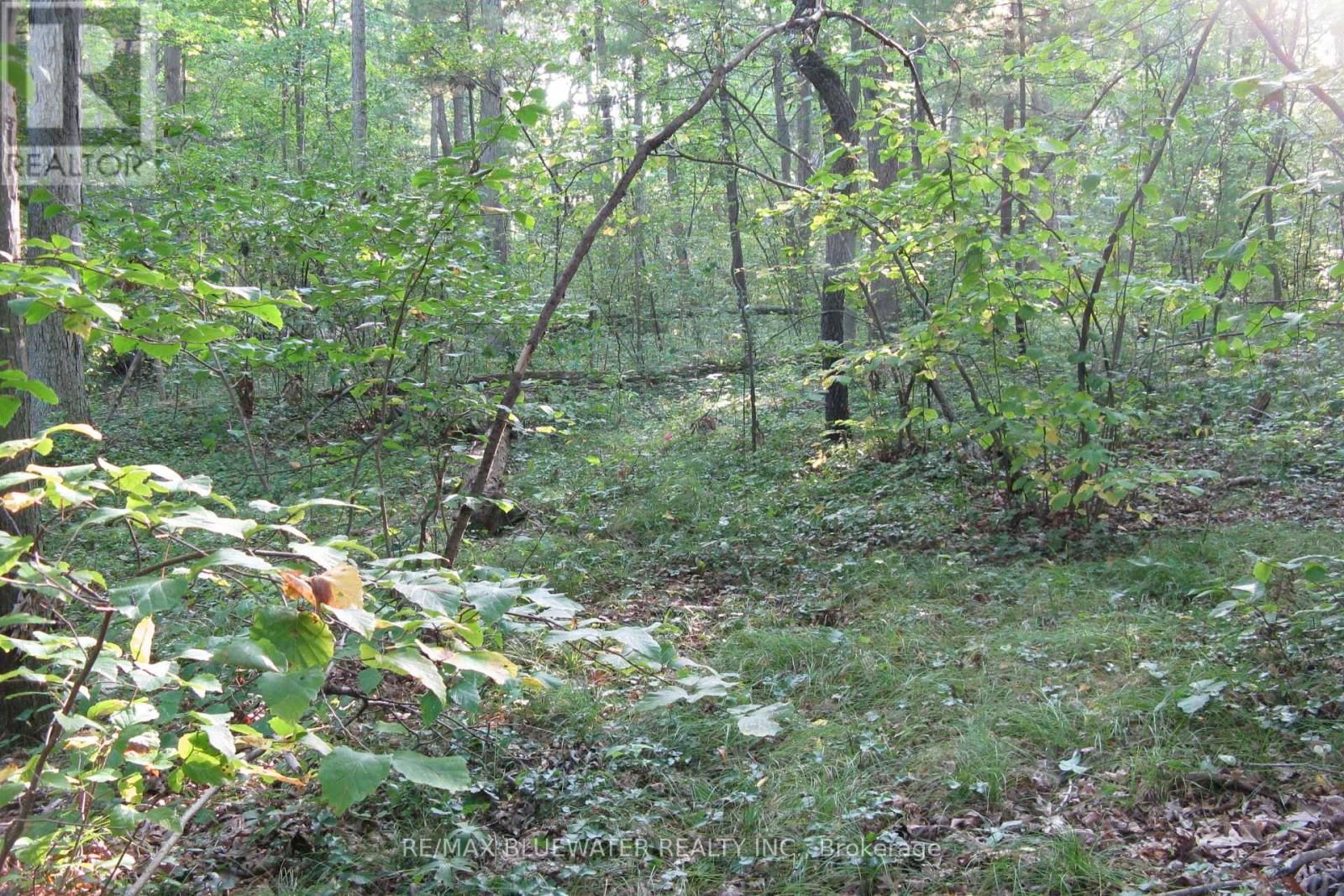 10296 GRAND OAKS DRIVE Image 15