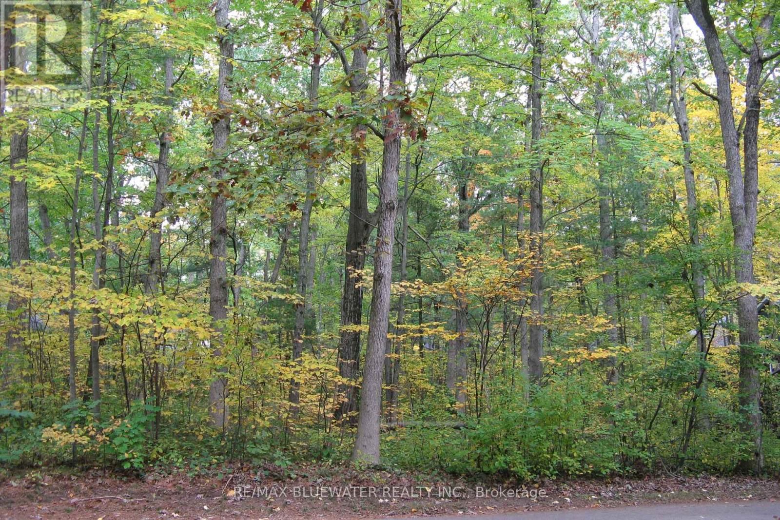 10296 GRAND OAKS DRIVE Image 16