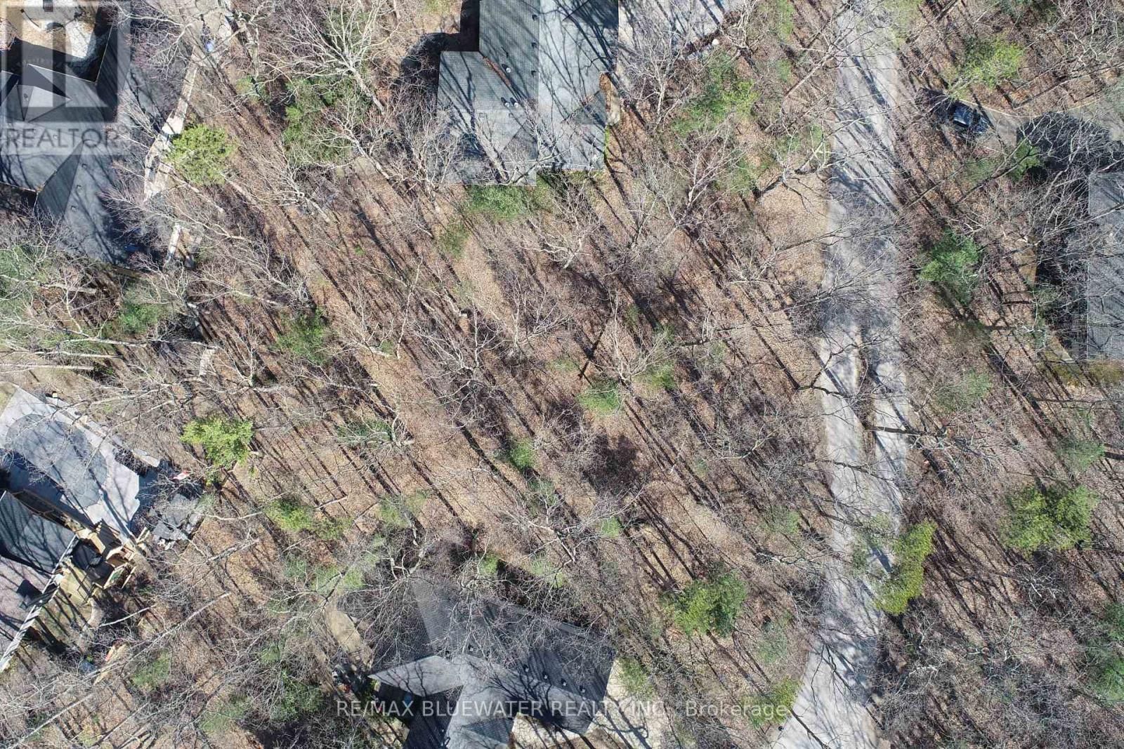 10296 GRAND OAKS DRIVE Image 18