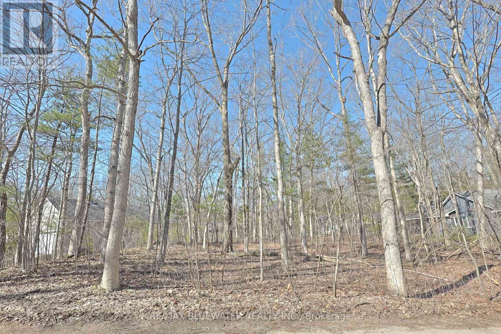 10296 GRAND OAKS DRIVE Image 2