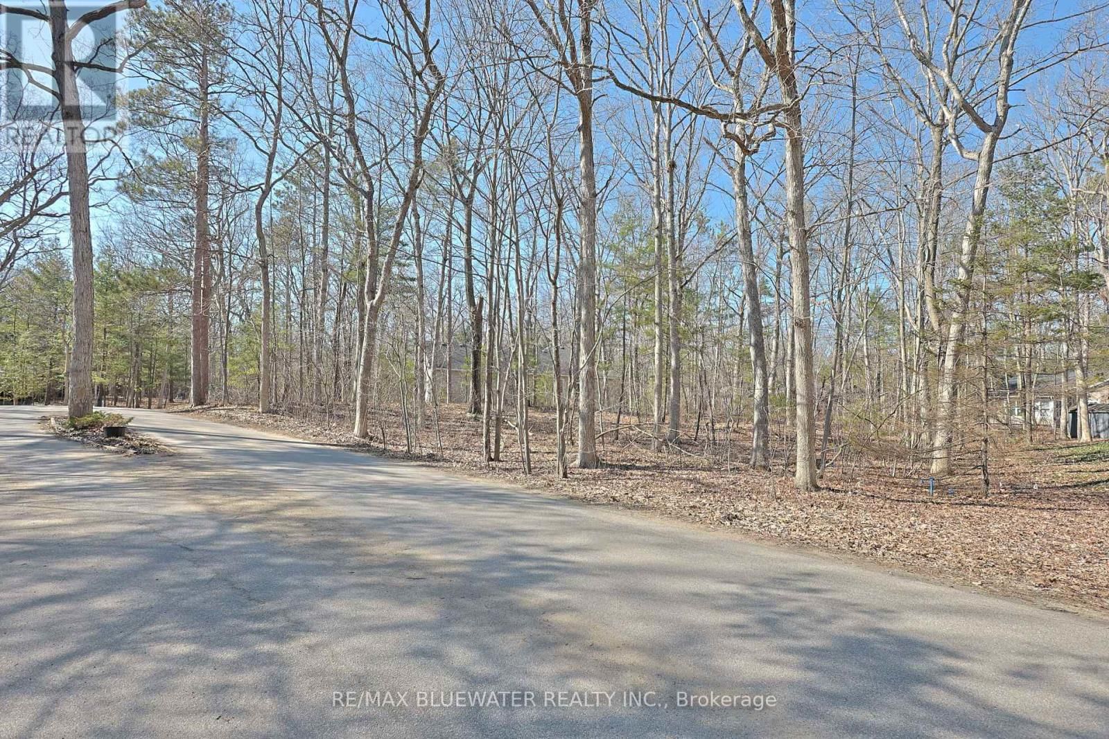 10296 GRAND OAKS DRIVE Image 6