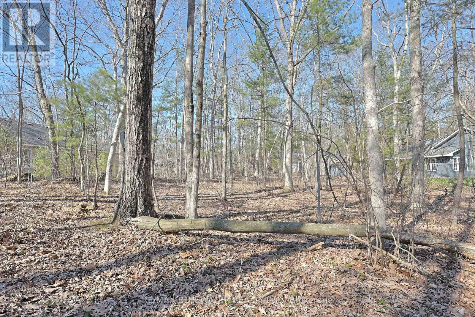 10296 GRAND OAKS DRIVE Image 7