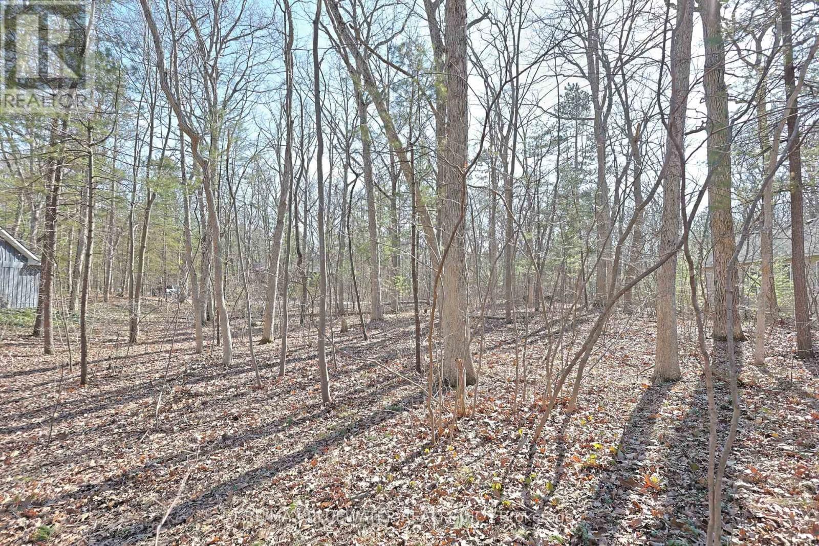 10296 GRAND OAKS DRIVE Image 8