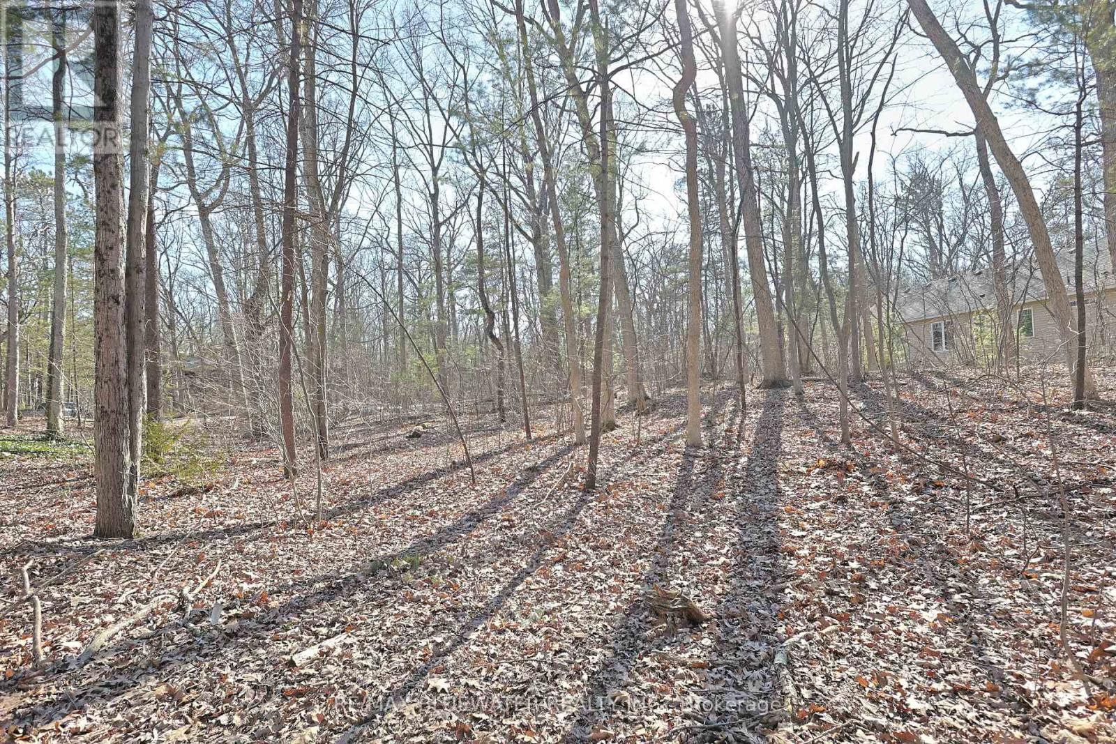 10296 GRAND OAKS DRIVE Image 9