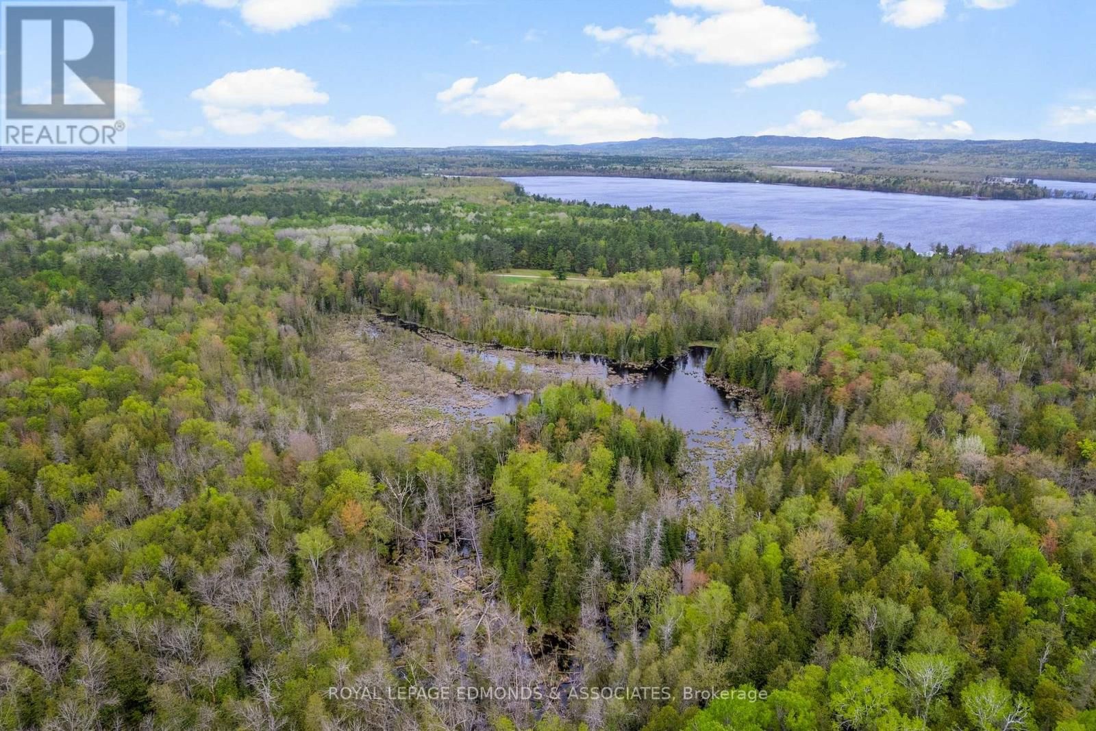 0000 NANGOR TRAIL Image 12