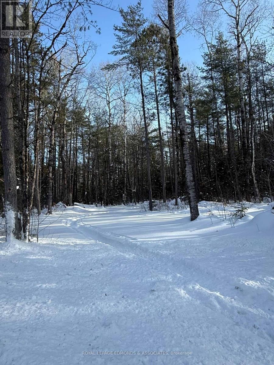 0000 NANGOR TRAIL Image 15