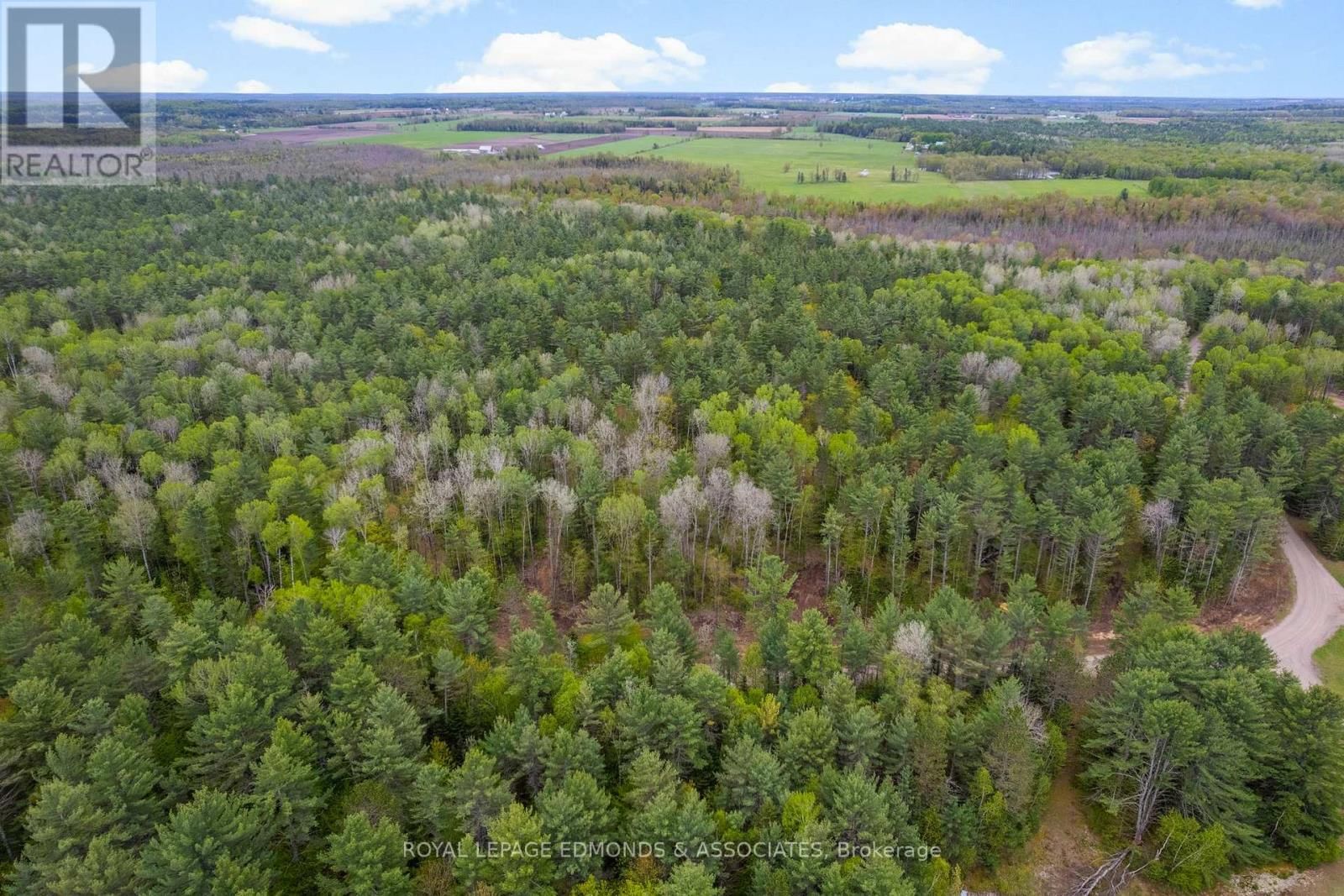 0000 NANGOR TRAIL Image 9