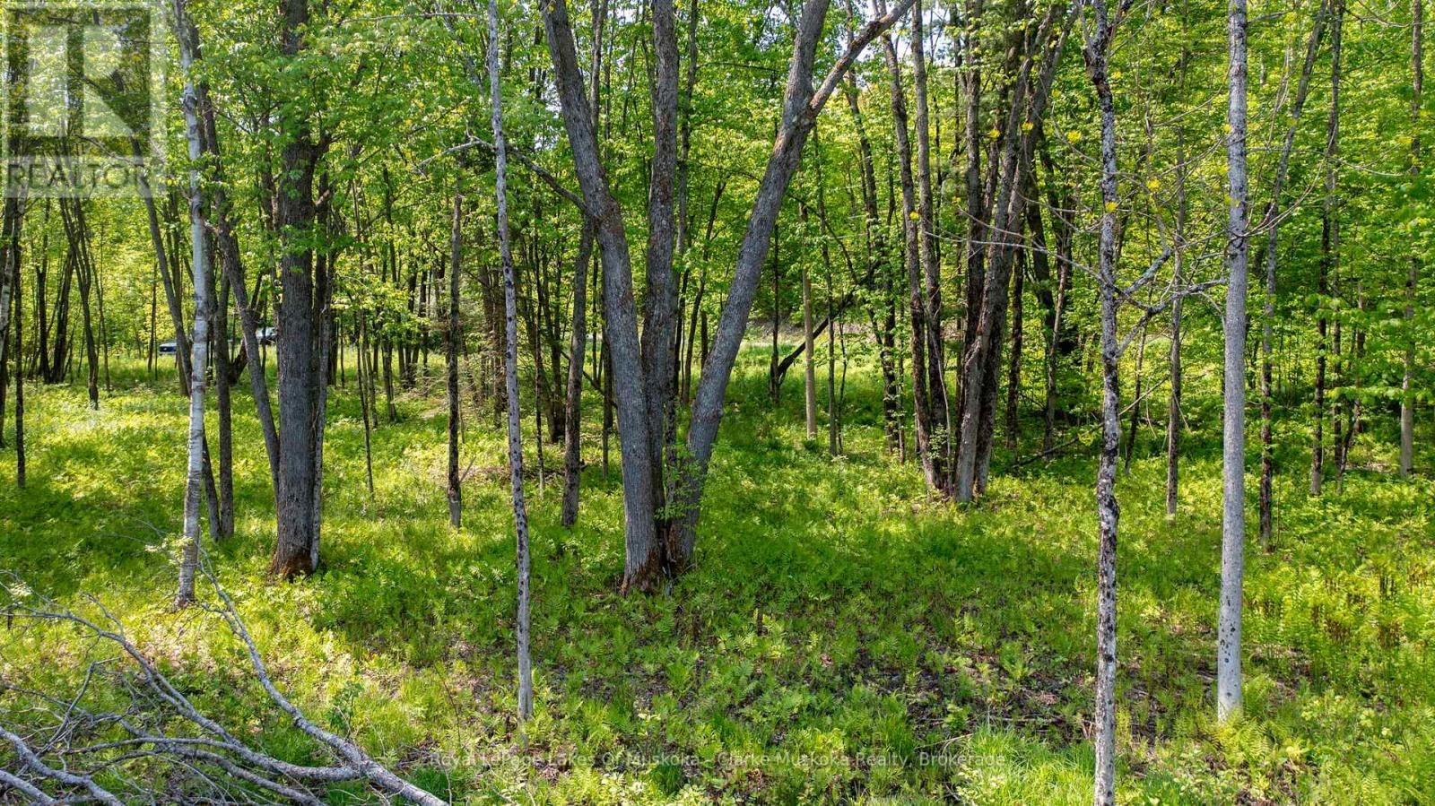 0 MAPLEHURST ROAD Image 17