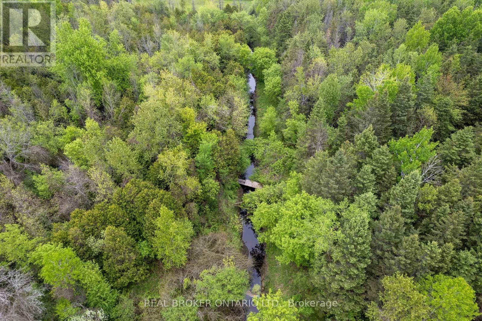 2635 MCMULLEN ROAD Image 12