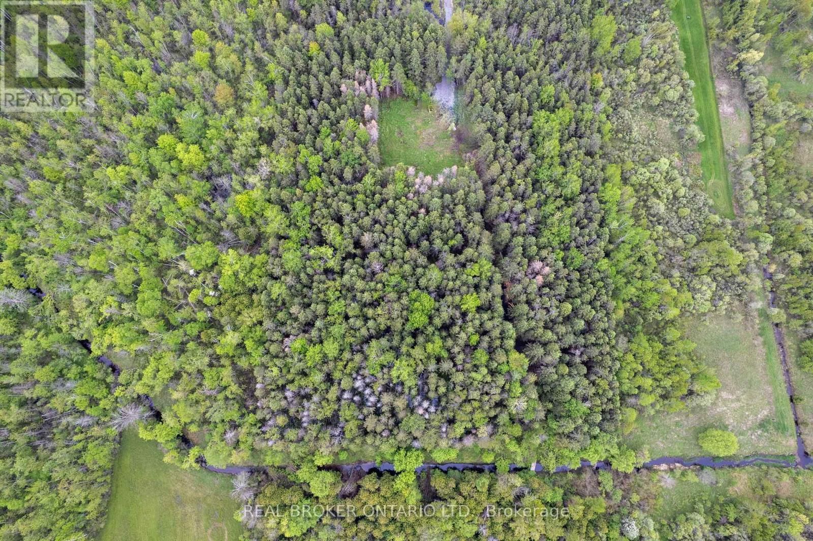 2635 MCMULLEN ROAD Image 15