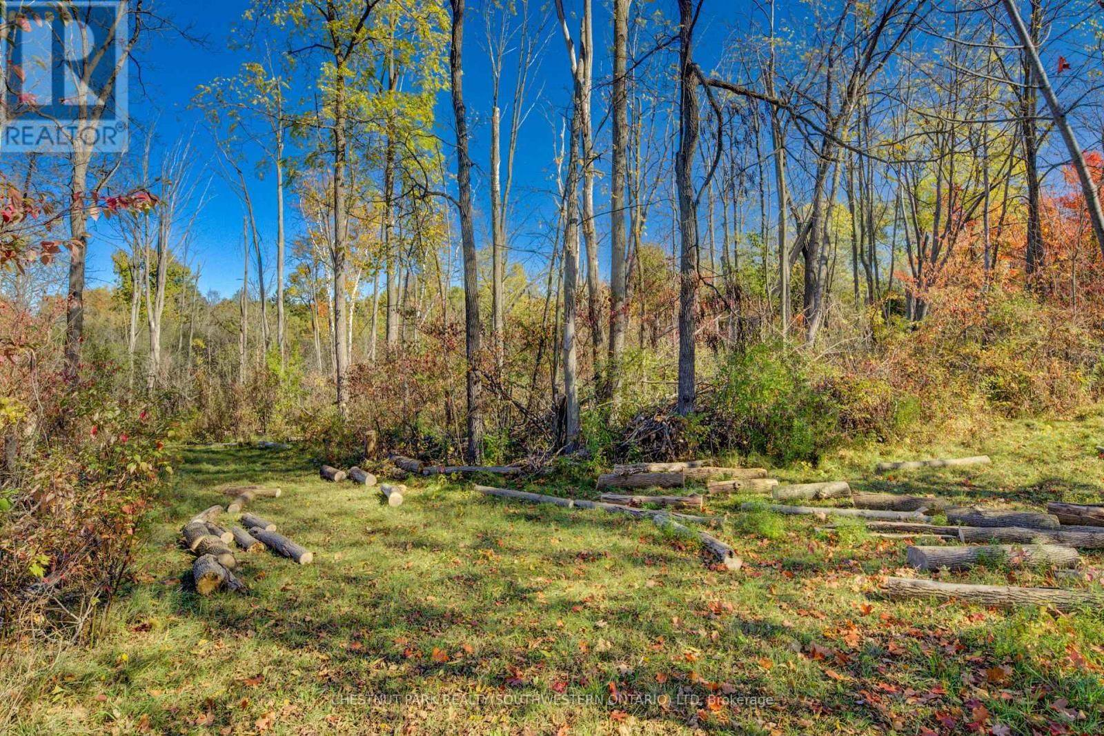 705 ERAMOSA ROAD Image 9