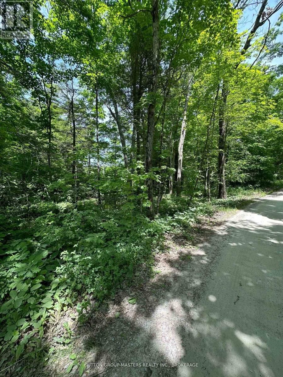 0 MAPLE GROVE LANE EAST Image 1