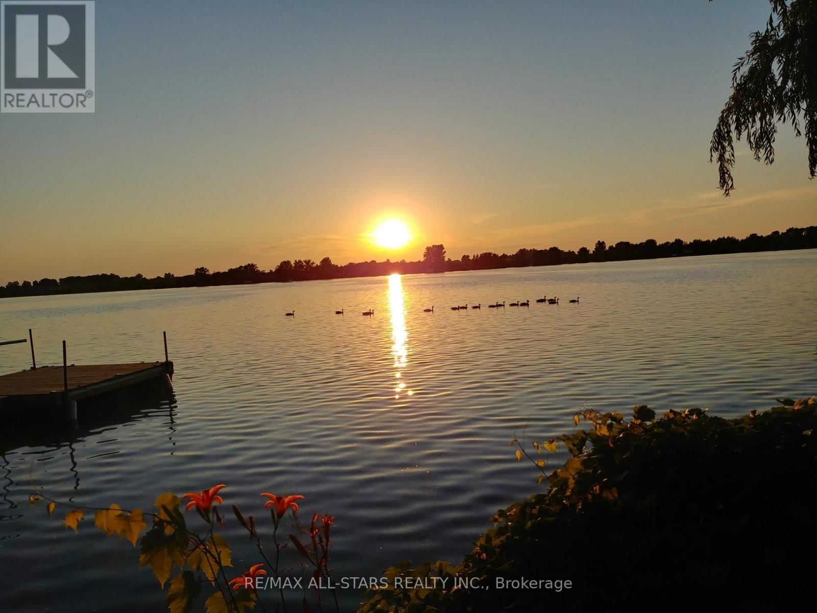 41 CEDAR CRESCENT Image 48