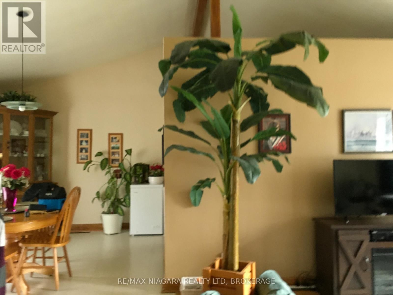 4577 DRUMMOND ROAD Image 18