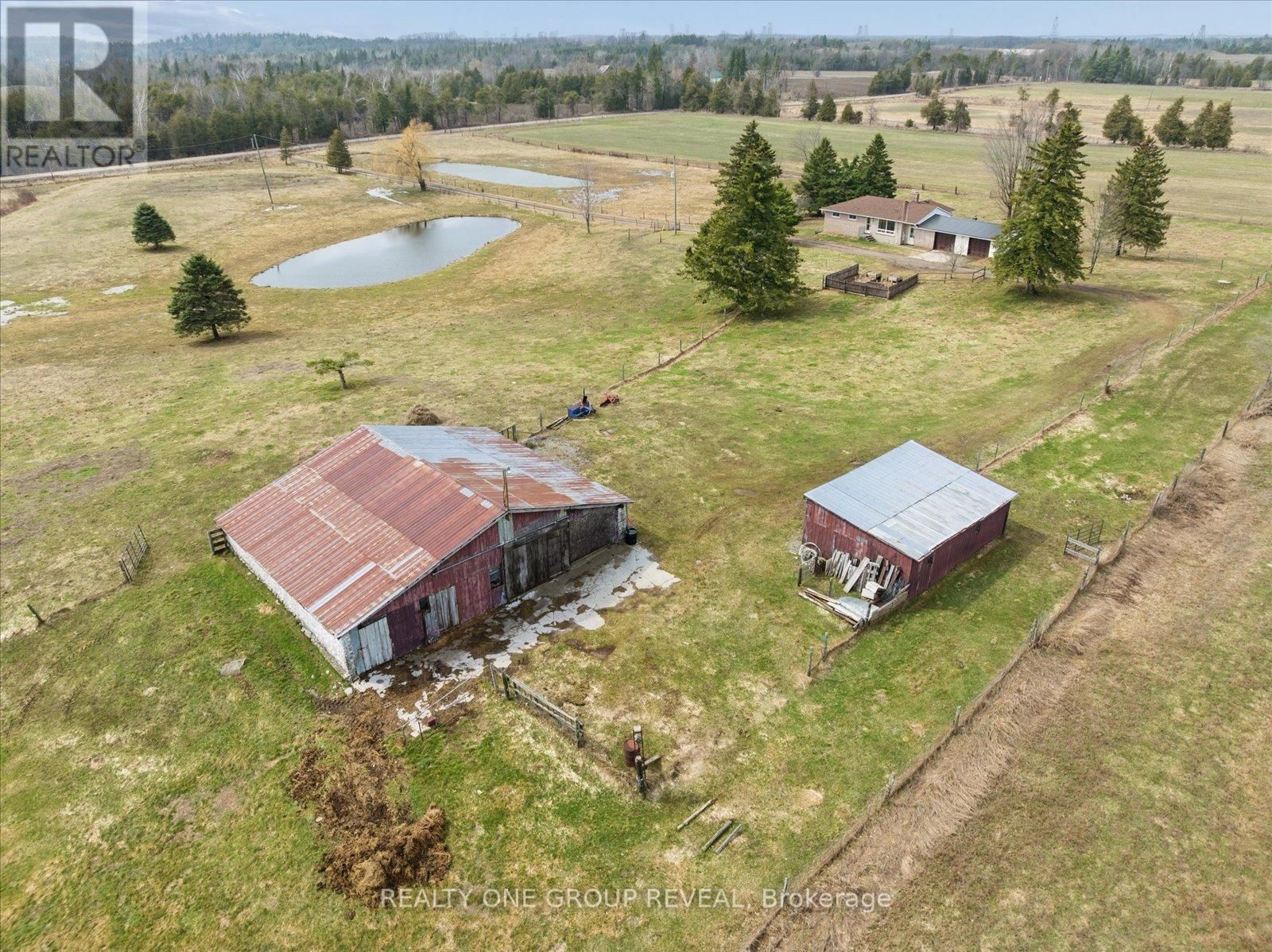 2469 ASPHODEL 11TH LINE Image 36