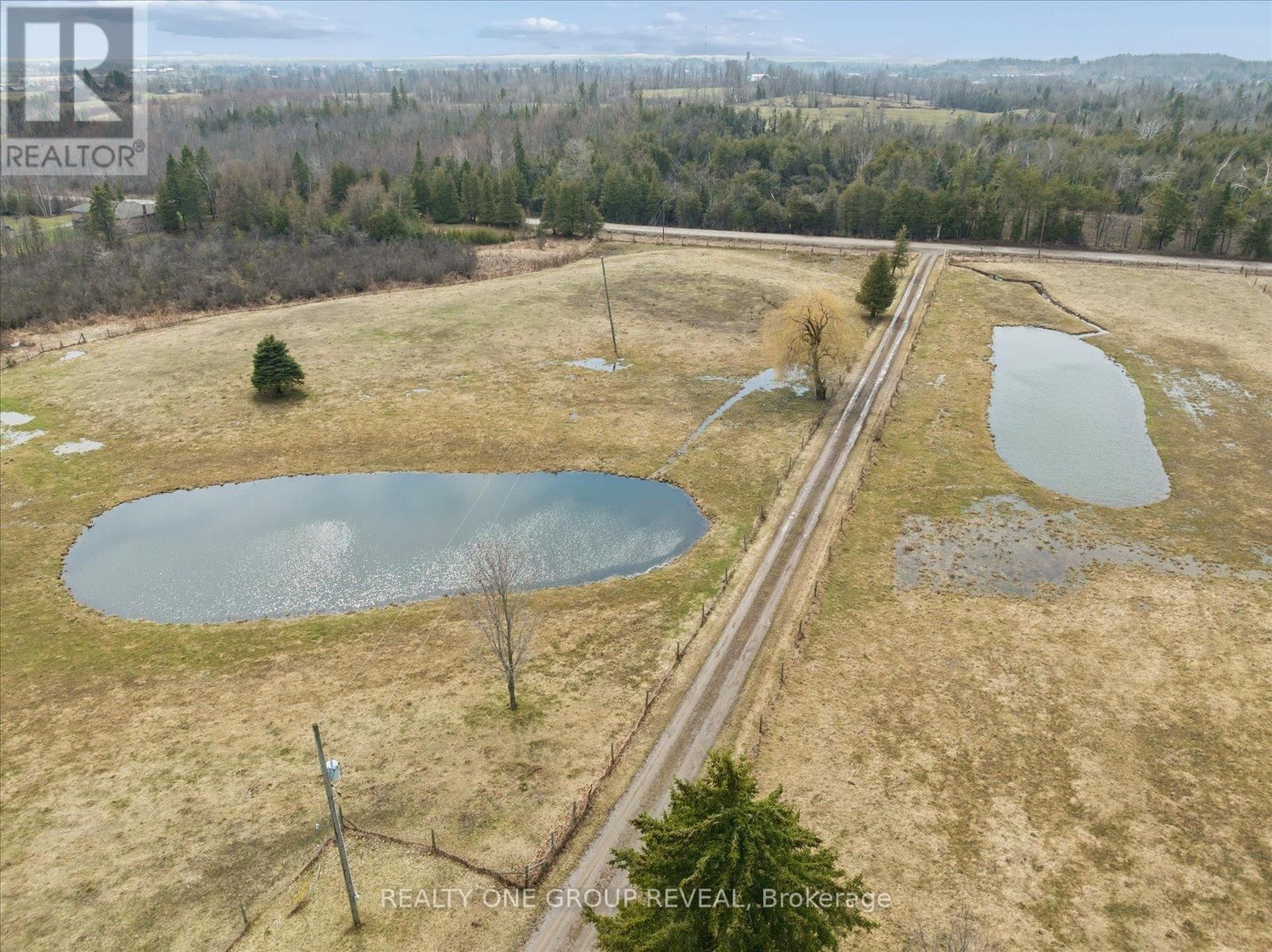 2469 ASPHODEL 11TH LINE Image 50