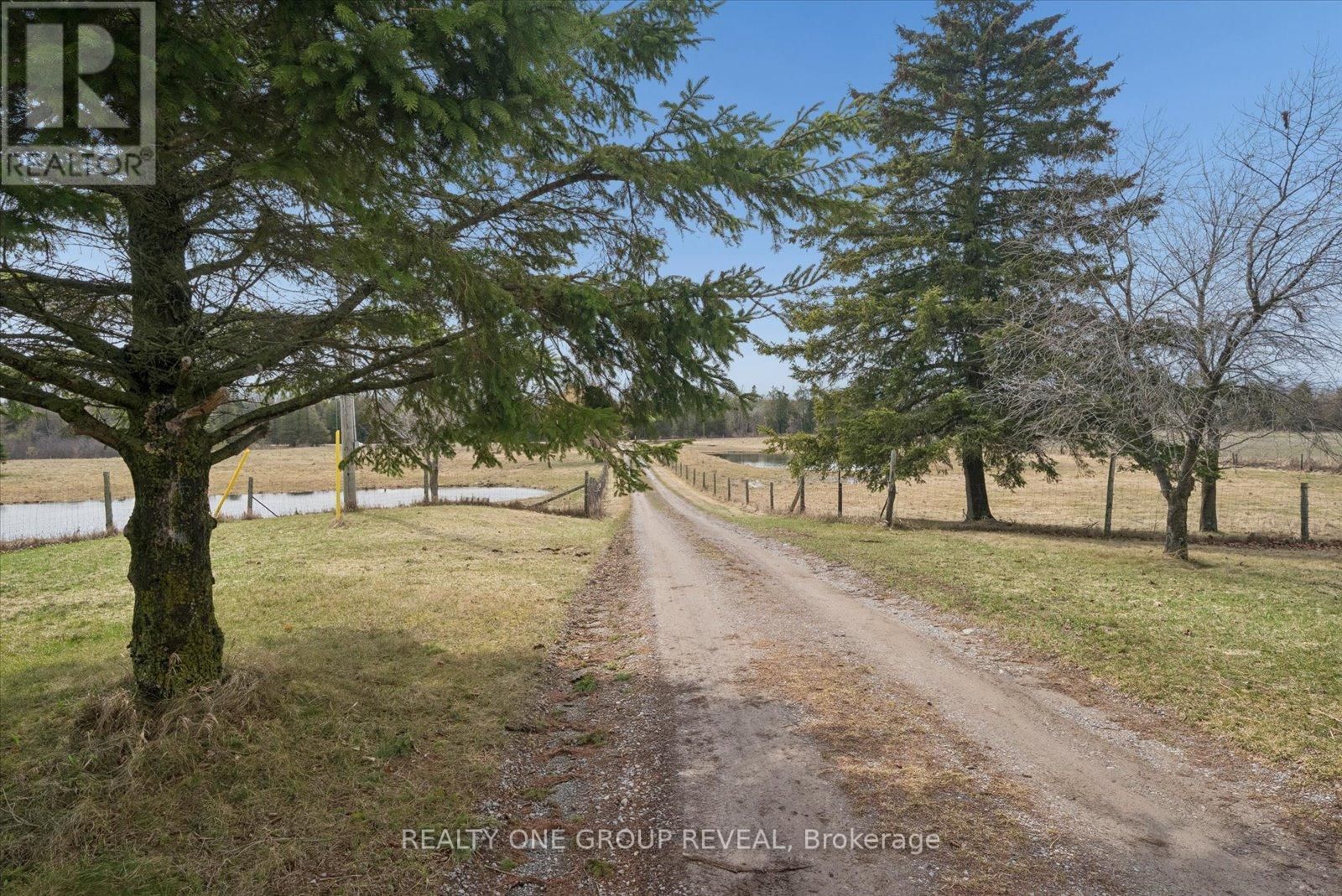 2469 ASPHODEL 11TH LINE Image 8