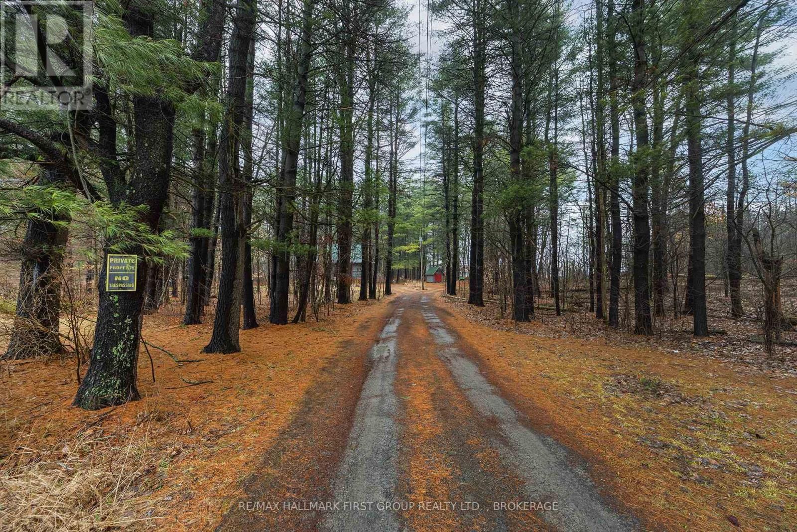 3980 BREWERS MILLS ROAD Image 3