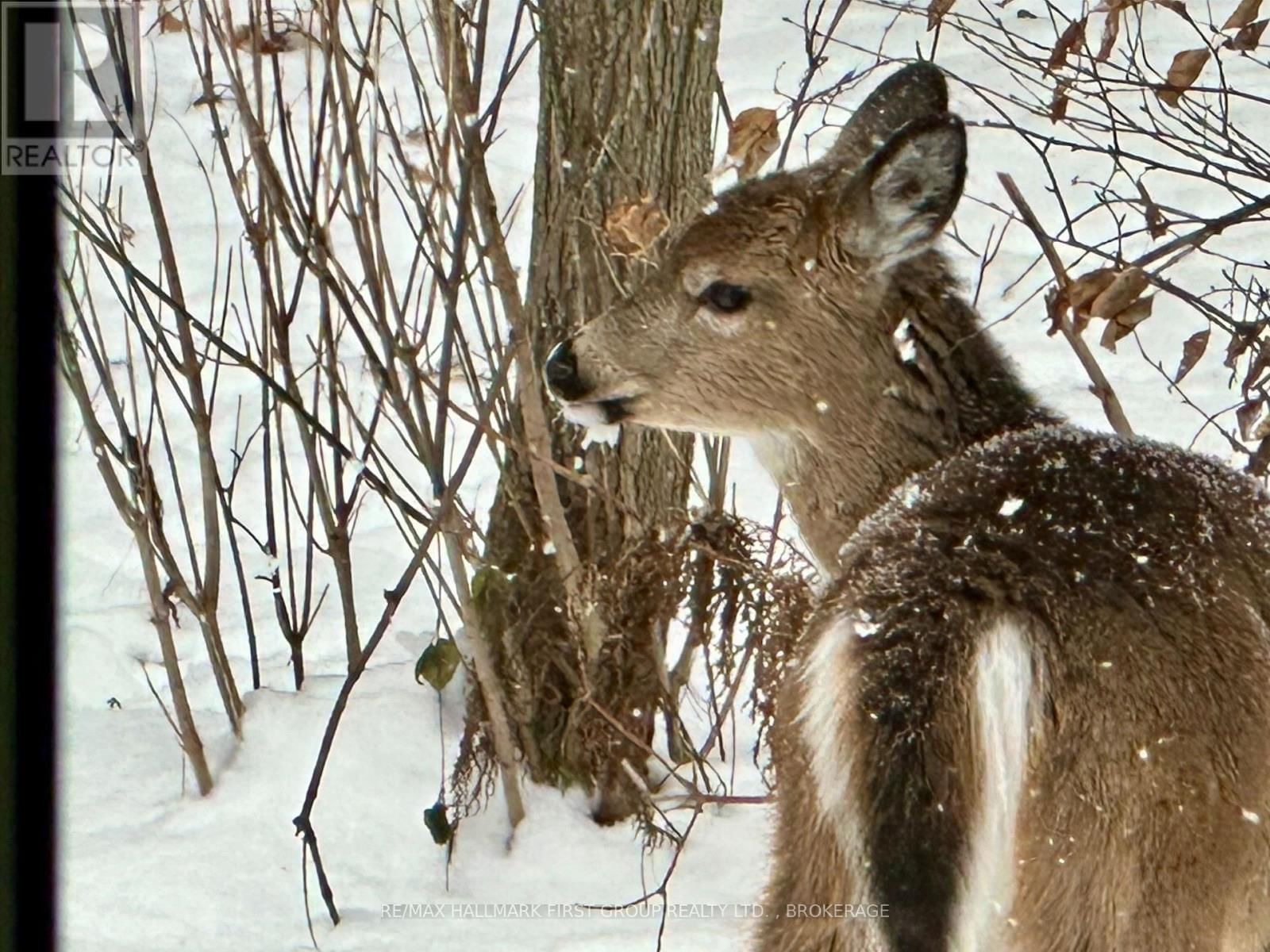 3980 BREWERS MILLS ROAD Image 40