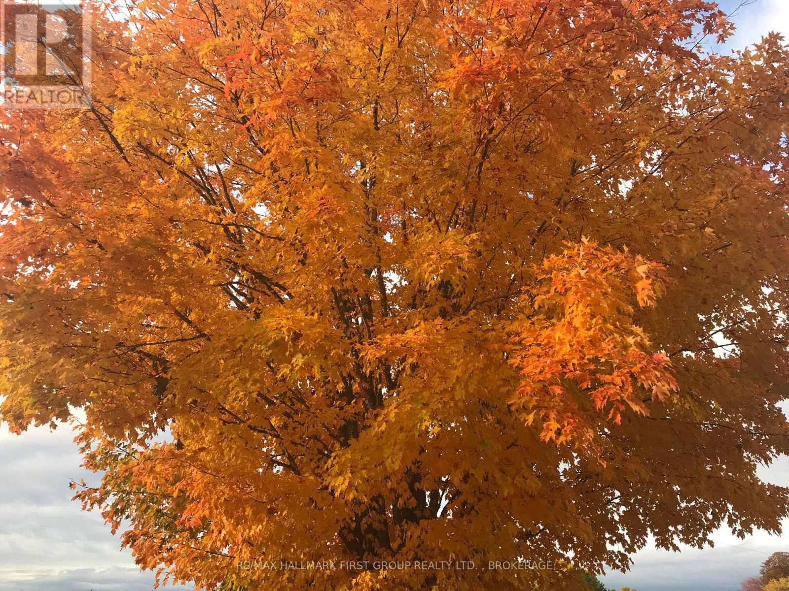 3980 BREWERS MILLS ROAD Image 46