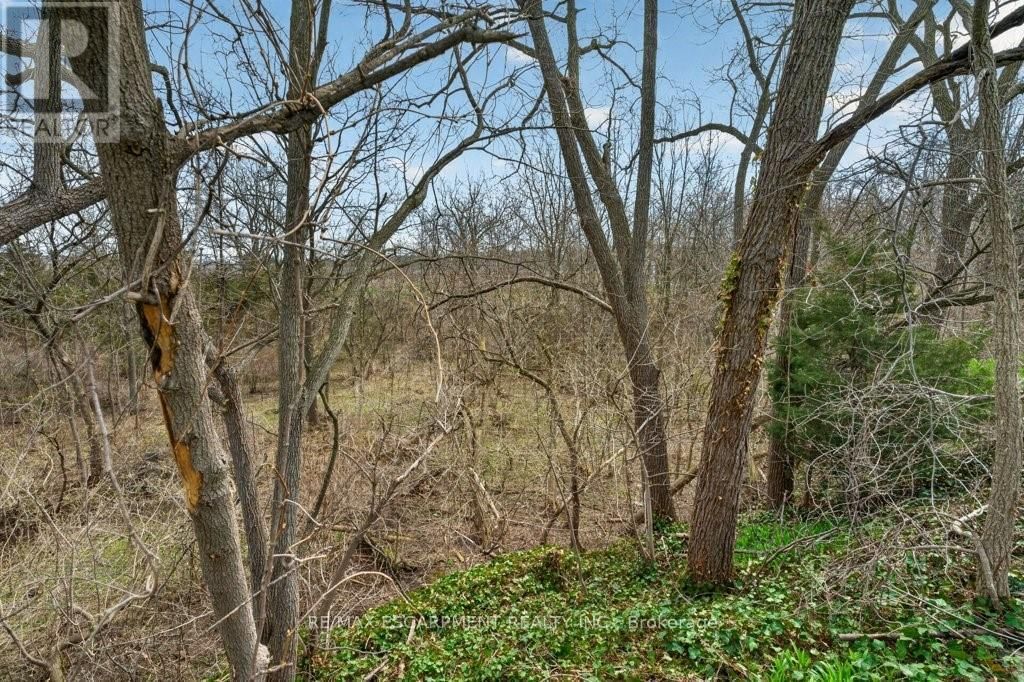 3378 JOHNSON STREET Image 43