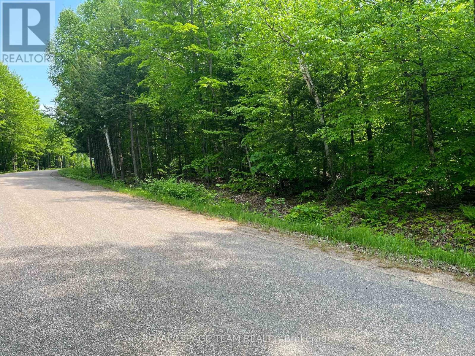 387 SUNNY HILL ROAD Image 4