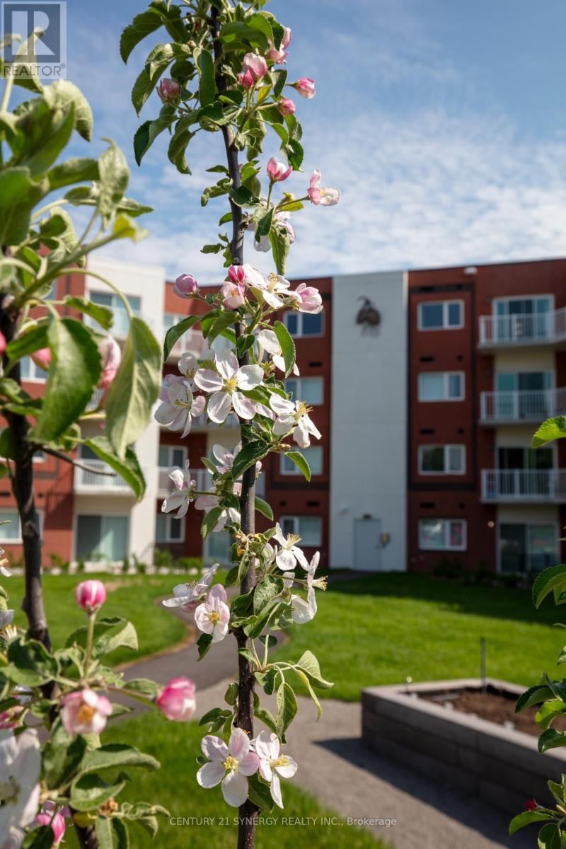 212 - 45 ELMSLEY STREET Image 3