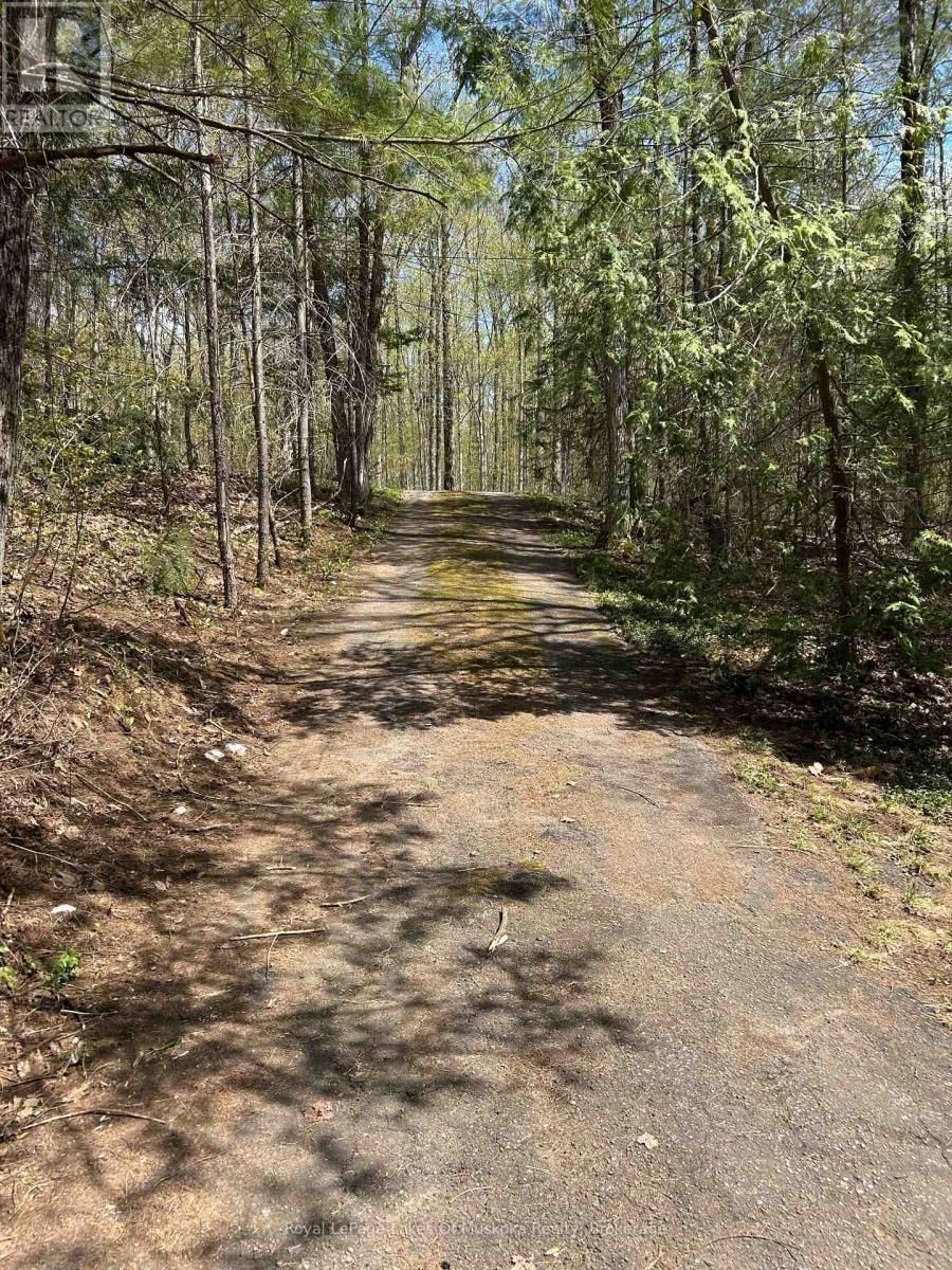 1091 NORTH TOOKE LAKE ROAD Image 21