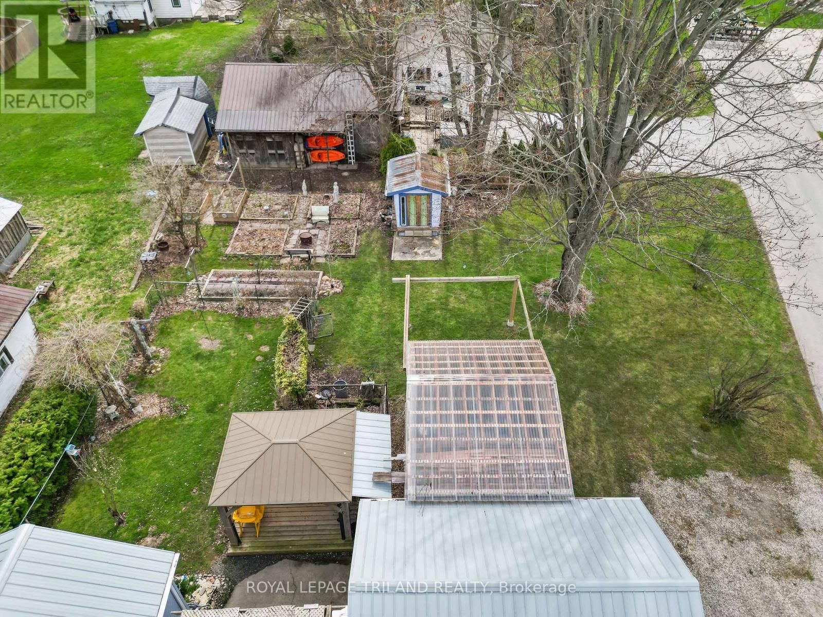 22929 HAGERTY ROAD Image 4