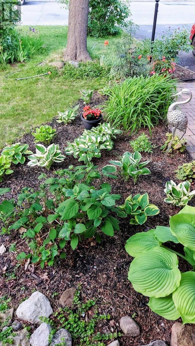 177 REDPATH DRIVE Image 24