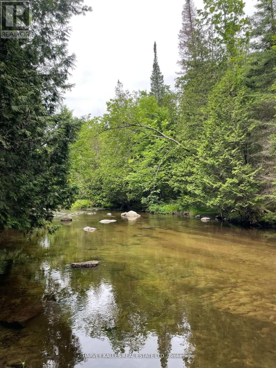 79 GUMMOW ROAD Image 1