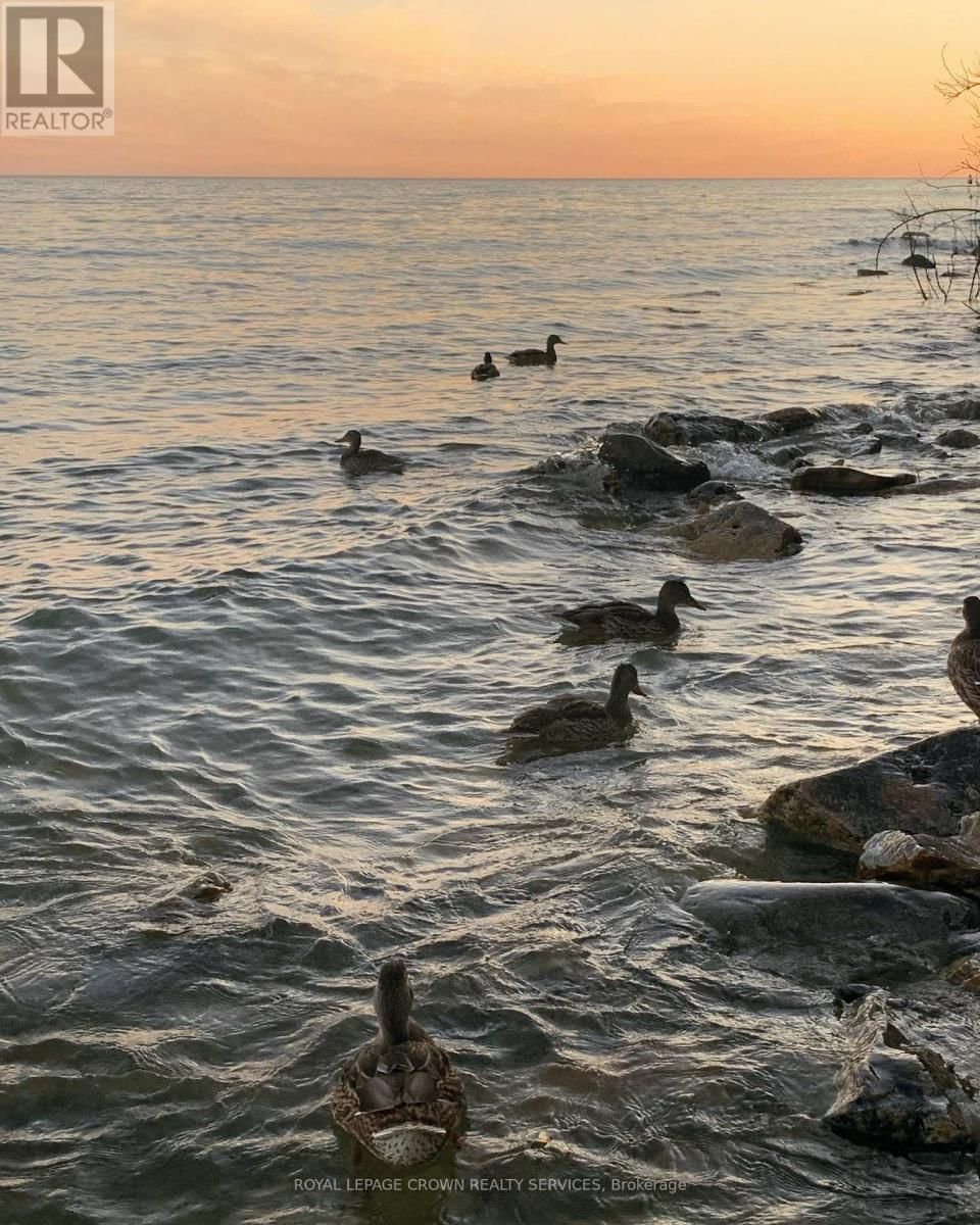 1166 DORCAS BAY ROAD Image 44