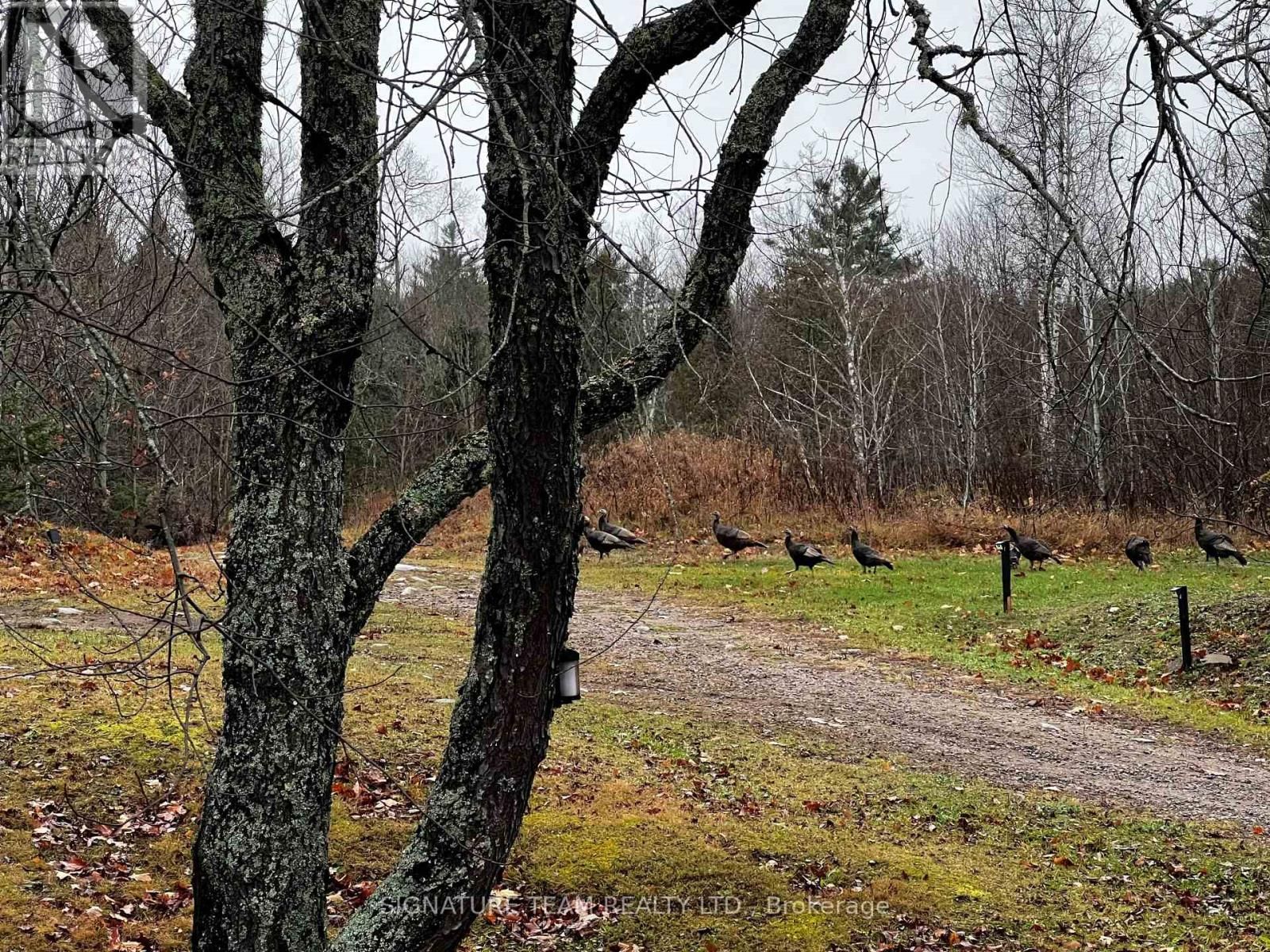 96 ADDINGTON RD. 6 ROAD Image 40