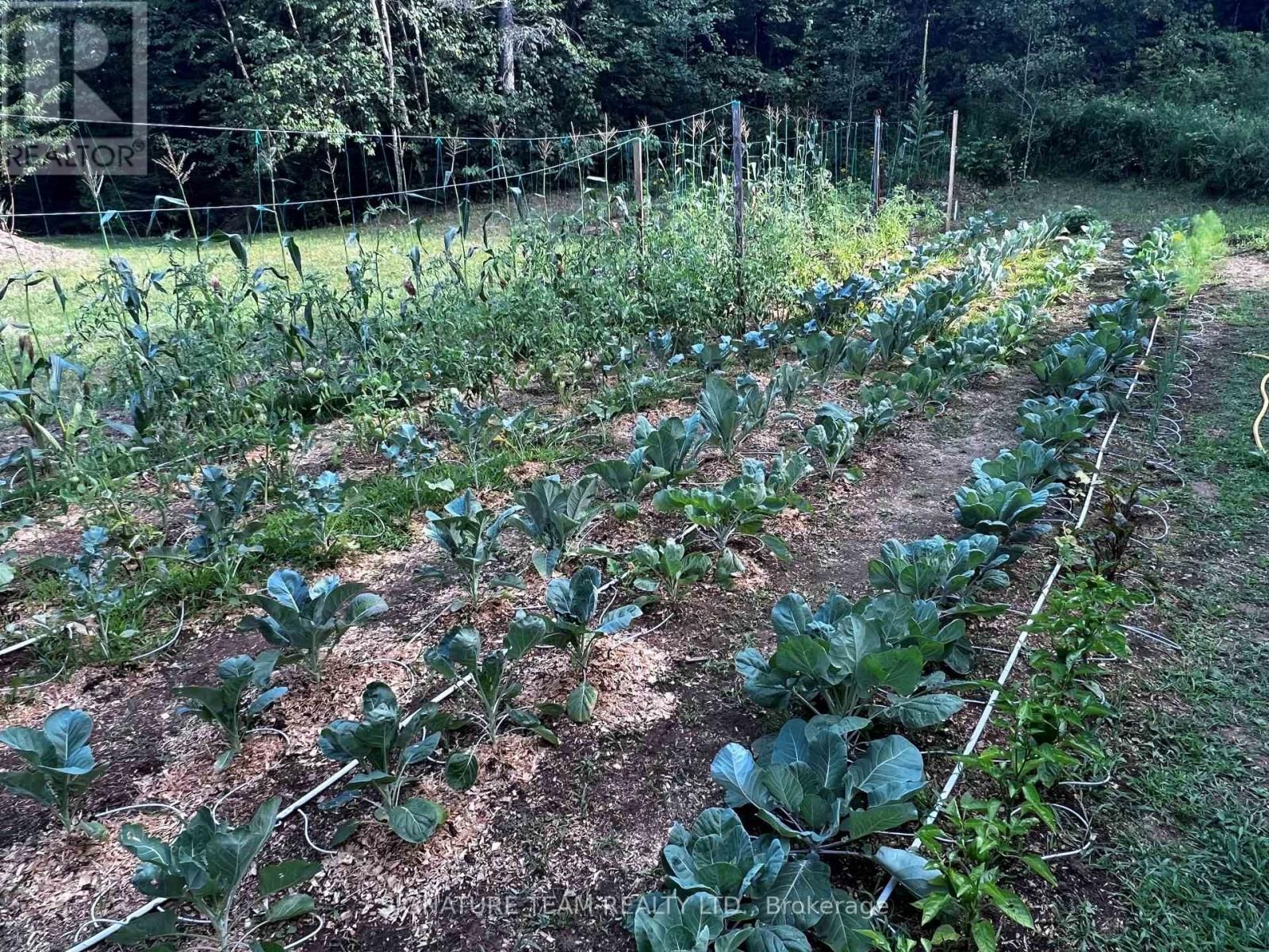 96 ADDINGTON RD. 6 ROAD Image 43